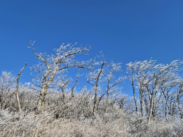 Boostez votre santé avec des fruits au bureau